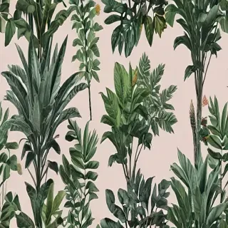 aesthetic plants png