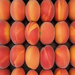 peaches background