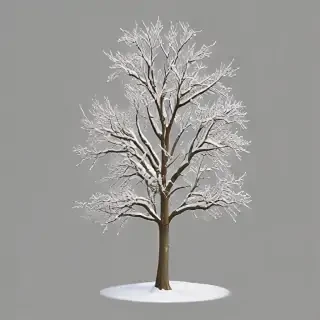 winter tree png