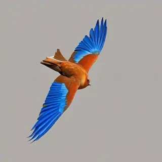 png birds flying