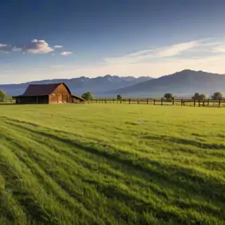 ranch background