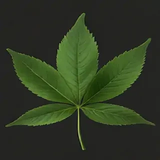 weed leaf png