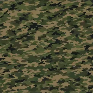 camo png