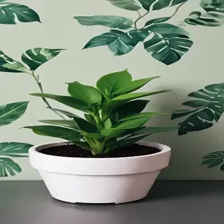cute plant wallpaper