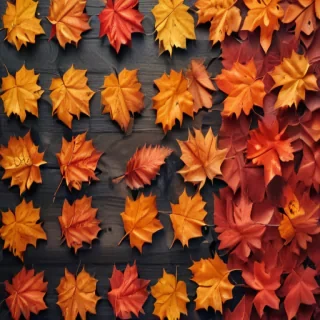 autumn background iphone