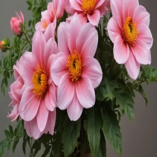 flower line