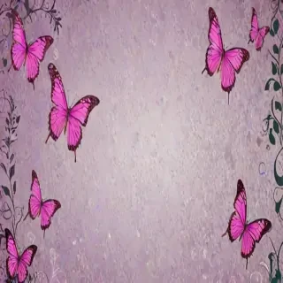 butterfly back ground