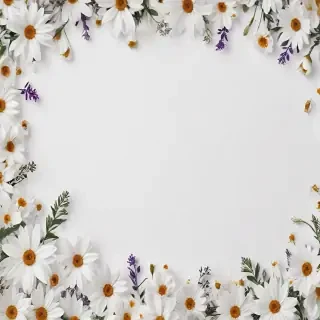 white background with flowers