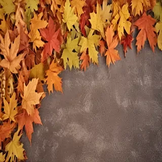 autumn background iphone
