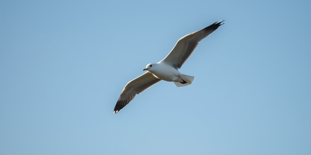 seagull flying in a clear sky, high-resolution, f/5.6 aperture, 1/2000 shutter speed, ISO 100, 85mm lens, soft natural light, focused on the bird with a blurred background, photography from below, DSLR camera