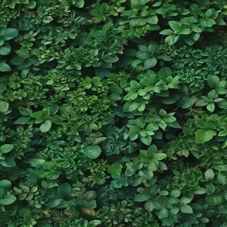 greenery iphone background