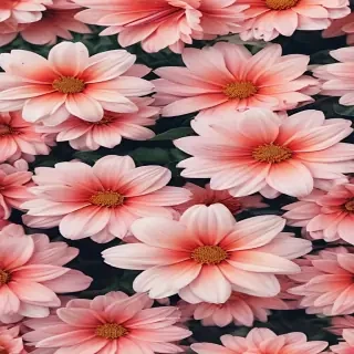 cute flower wallpaper aesthetic
