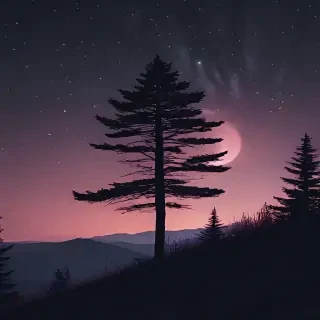 night wallpaper iphone