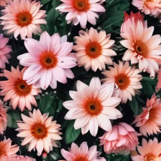 cute aesthetic wallpapers flowers