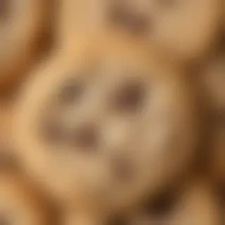 chocolate chip cookies png
