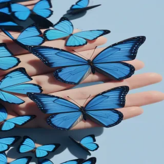 blue butterfly aesthetic