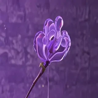 purple aesthetic wallpapers iphone