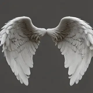 angel wings png transparent