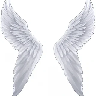 angel wings transparent