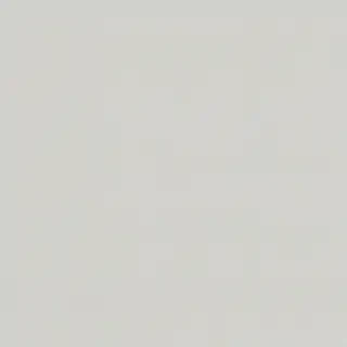 transparent background