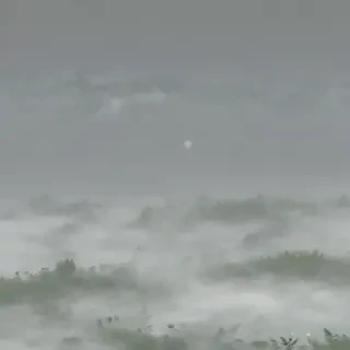 mist png
