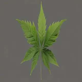 pot leaf png