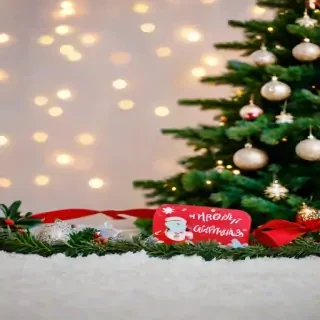 christmas cover photos