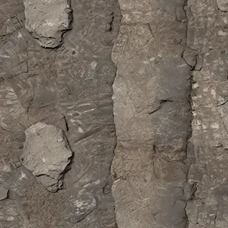 rough textures