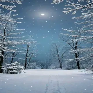 january background
