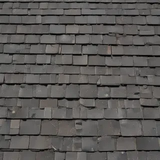 pictures of shingles