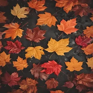 autumn leaves iphone wallpaper