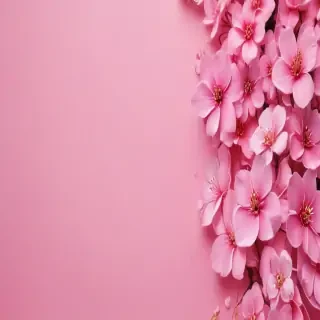 cute pink wallpapers for iphone