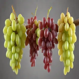 grapes png