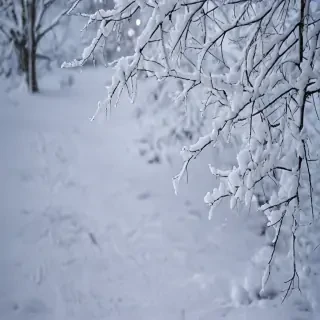 snow background iphone