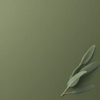 sage green backround
