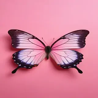 pink background butterfly
