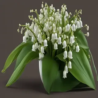 lily of the valley png