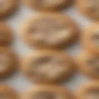 chocolate chip cookie png