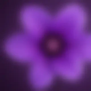 purple flower iphone wallpaper