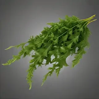 seaweed png