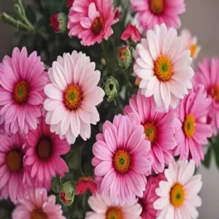 flower wallpaper phone