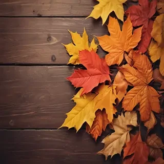 autumn wallpaper phone
