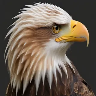 eagle transparent