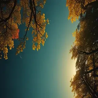 nature iphone wallpaper