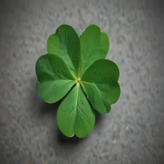 4 leaf clover