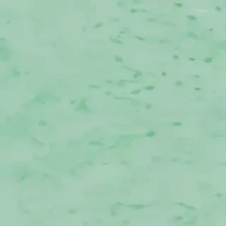 mint green bg