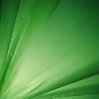 green abstract wallpaper