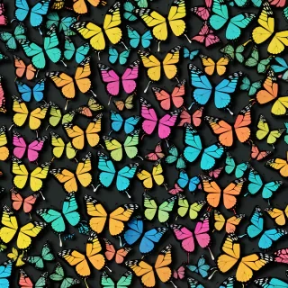 butterfly wallpaper for computer