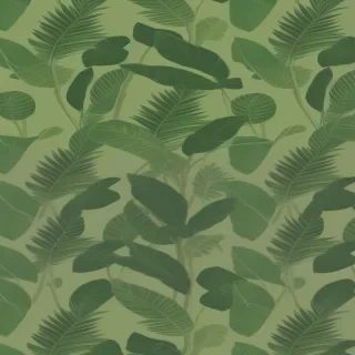 plant wallpaper iphone