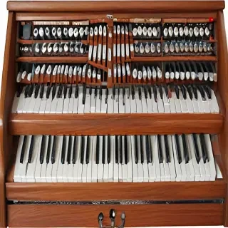 organ png